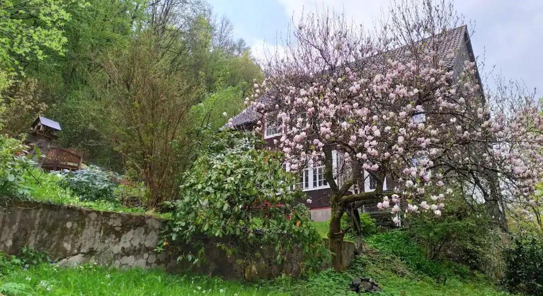 Haus Am Wald Zorge 16+ Gaeste Walkenried Bagian luar foto